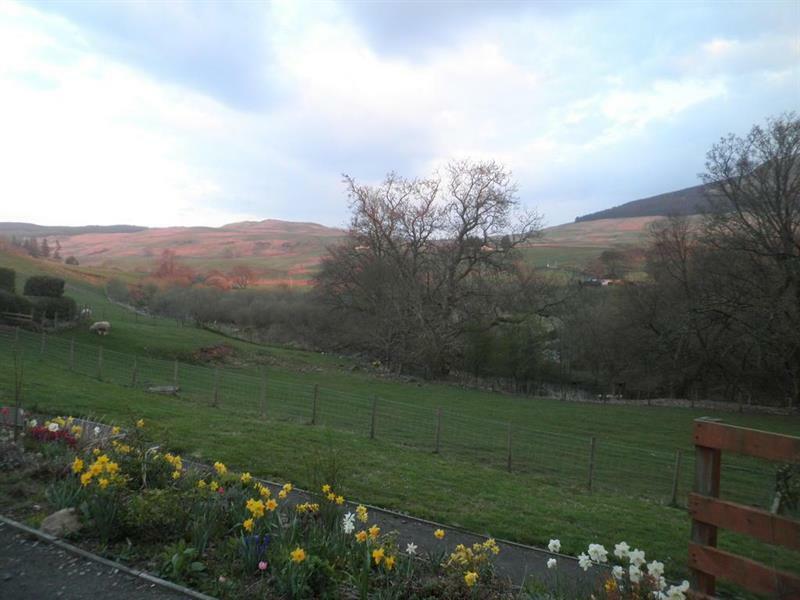 Rockfoot B&B Fintry Eksteriør billede